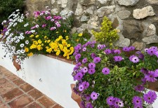 B&B | Bed & Breakfast | Chambre hotes | Casa Rural | Image10