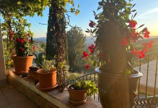 B&B | Bed & Breakfast | Chambre hotes | Casa Rural | Image15